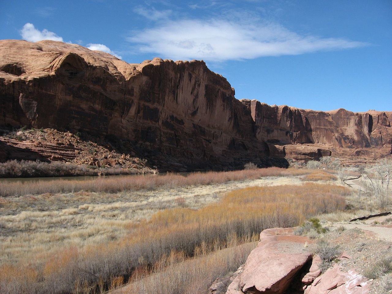 Red sandstone cliffs above the Colorado River and a band of golden riverside willows along Utah State Route 128 near Moab