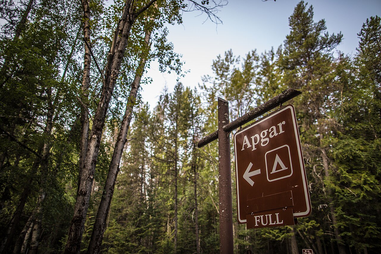 Brown Apgar campground directional sign with a FULL placard below it, in a forest of tall trees
