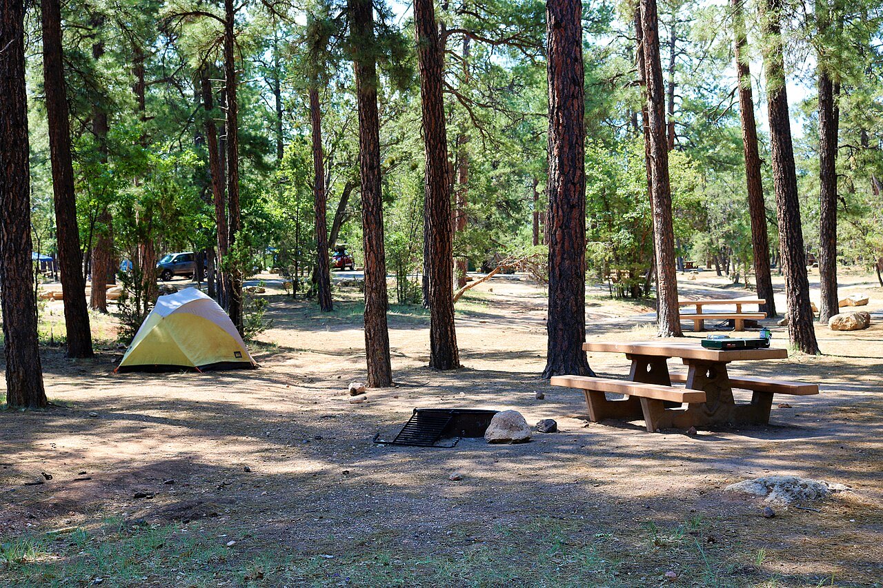 A shaded campsite at Mather Campground with a tent, picnic table and fire ring under tall ponderosa pines