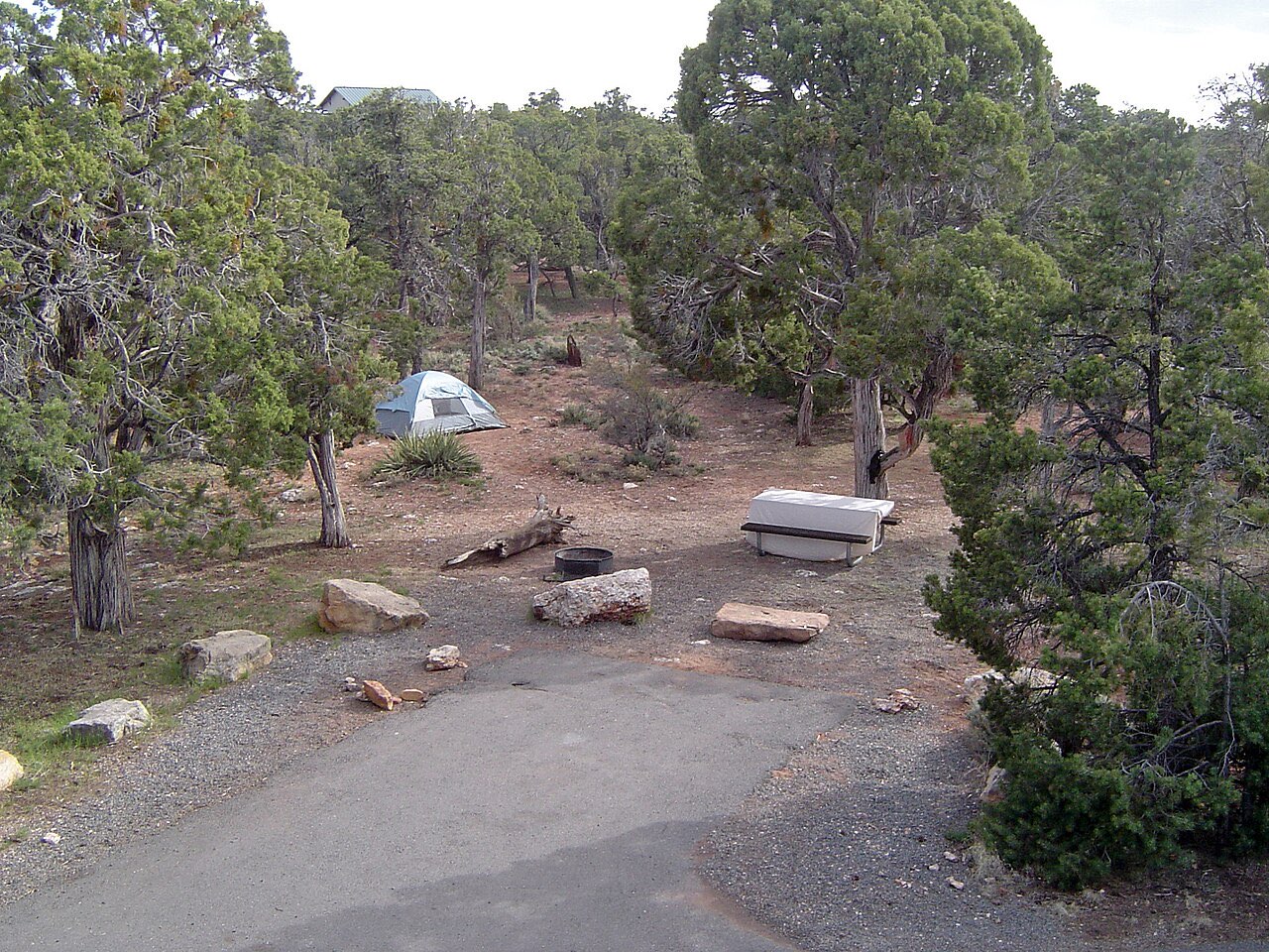 A paved campsite spur at Desert View Campground with a small tent, fire ring and bear box among juniper trees