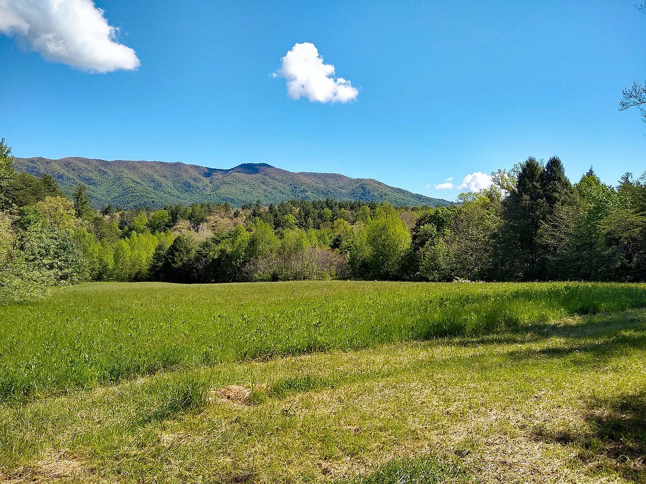 A green meadow in Cades Cove with forested ridges of the Smokies behind it under a blue sky with a few clouds